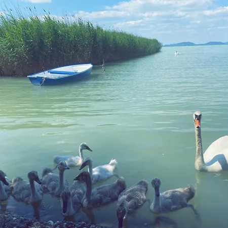 Ferienhaus Balaton A Kertben - Balaton In The Garden - Beachfront With Beautiful View, Private